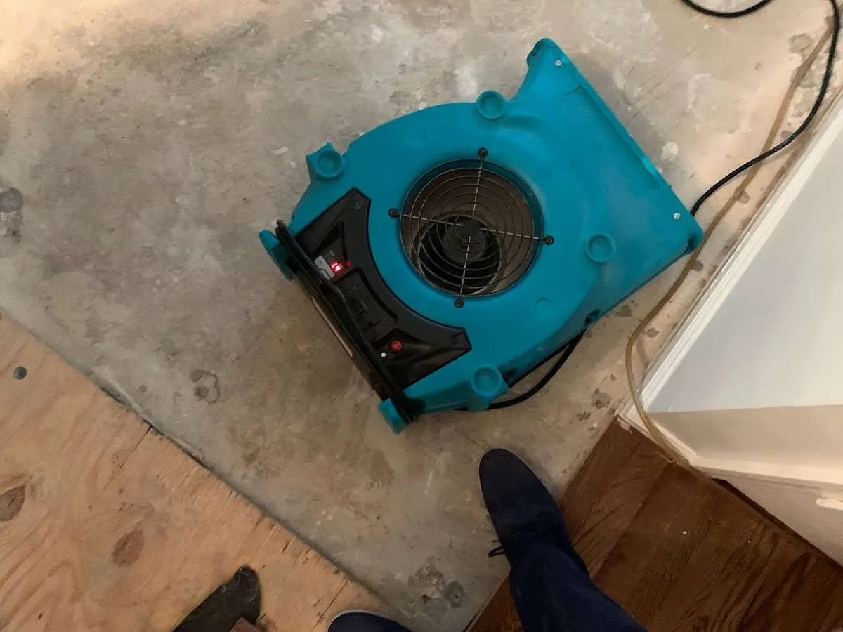 Air mover drying subfloor during Leak Detection & Repair in Springfield